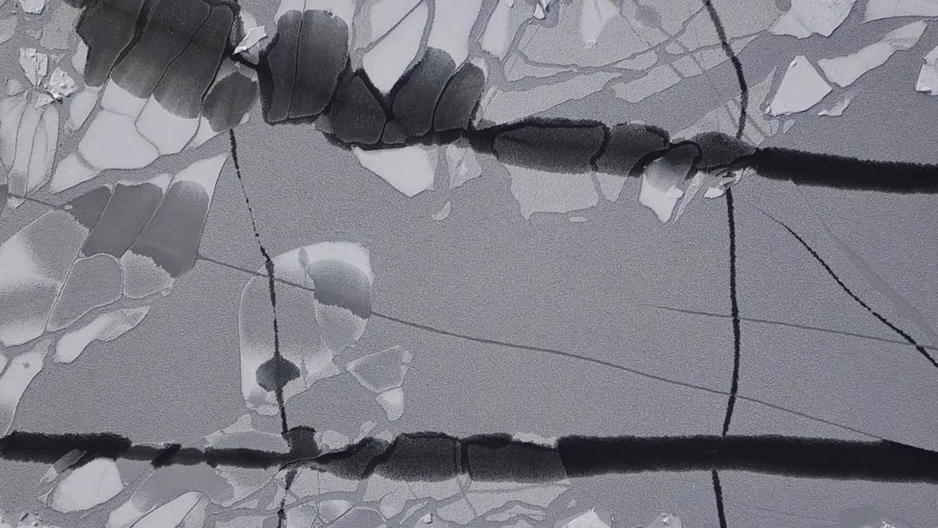 Still aus dem Musikvideo «Parrot to the Moon – Doors»